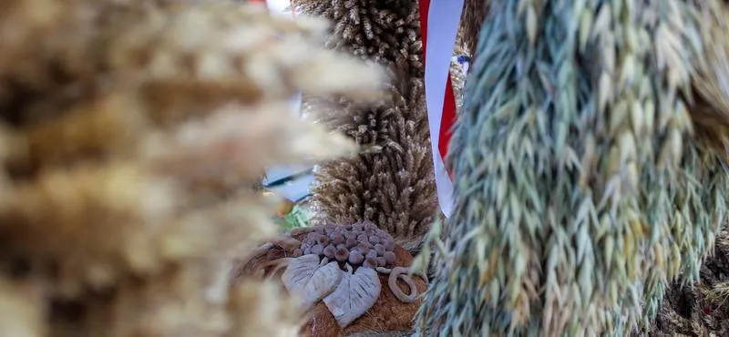 Pierwsza tura wyborów prezydenckich
