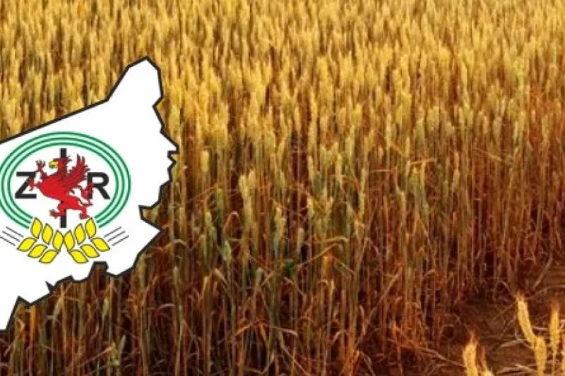 Terminy i procedury wyborów do izb rolniczych