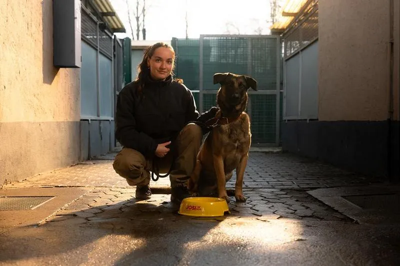 Wybory prezydenckie a zwierzęta