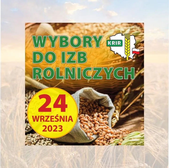 Zmiany w prawie wpływające na wybory 2026